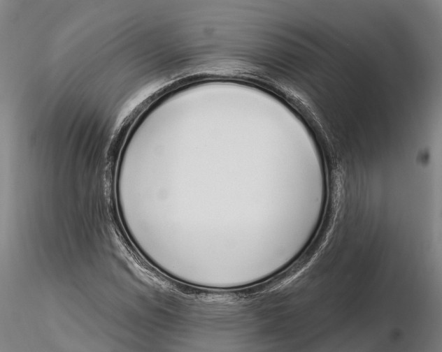 X0000115711114200912031522