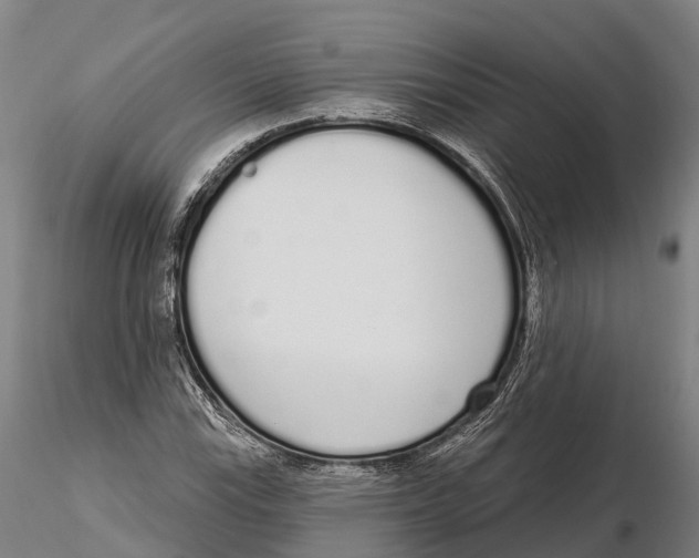 X0000115711115200912031522