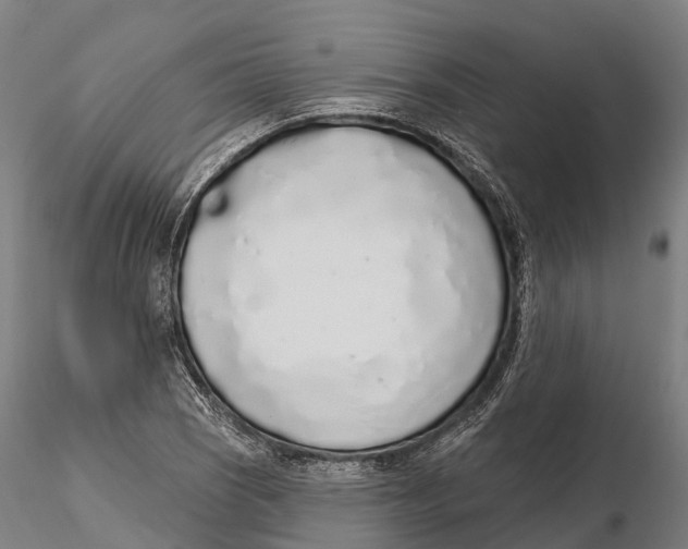 X0000115711121200912031522