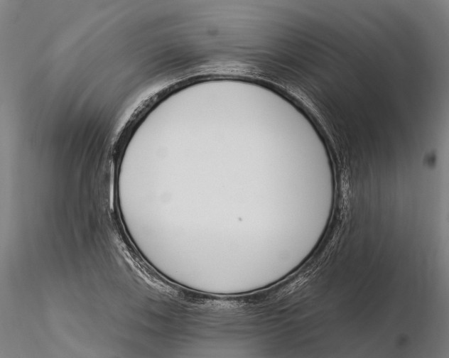 X0000115711123200912031522