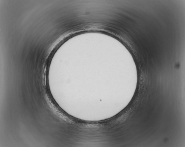 X0000115711126200912031522