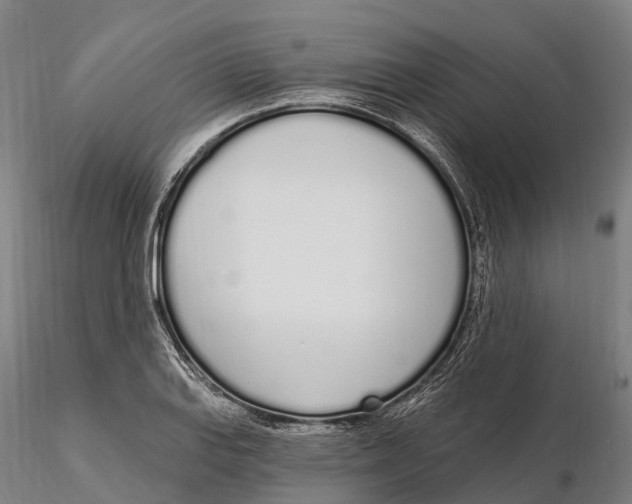 X0000115711127200912031522