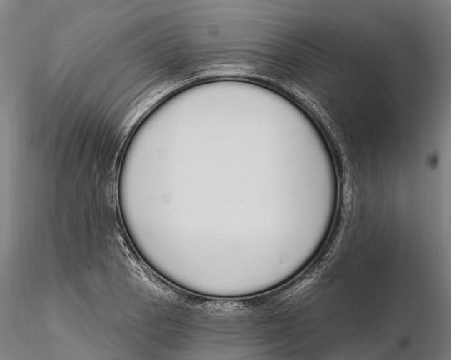 X0000115711129200912031522