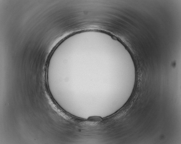 X0000115711134200912031522