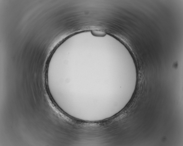 X0000115711135200912031522