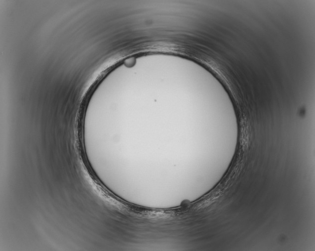 X0000115711139200912031522