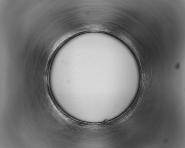 X0000115711141200912031522