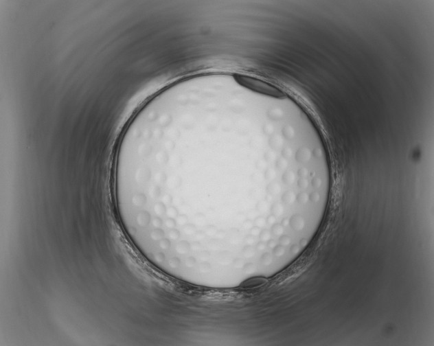 X0000115711146200912031522