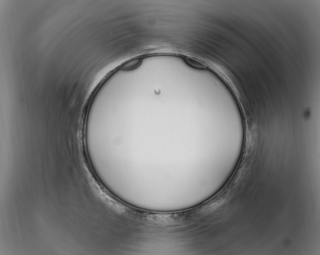 X0000115711149200912031523