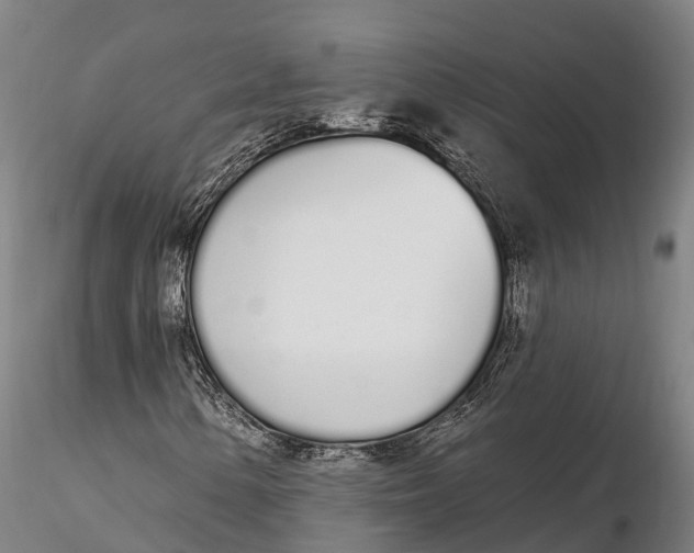 X0000115711154200912031522