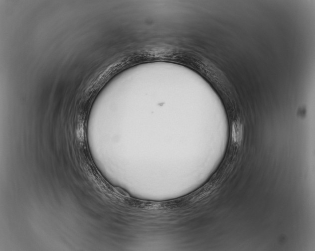 X0000115711155200912031522