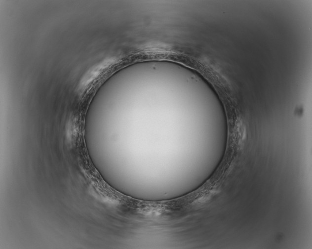 X0000115711157200912031522