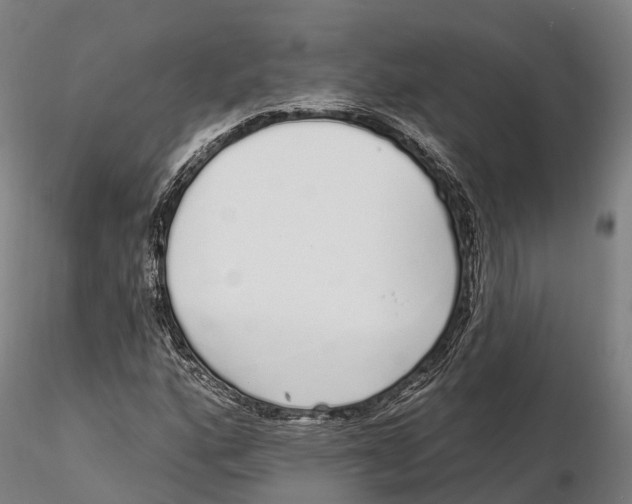 X0000115711160200912031522