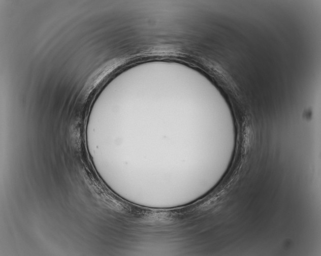 X0000115711162200912031522