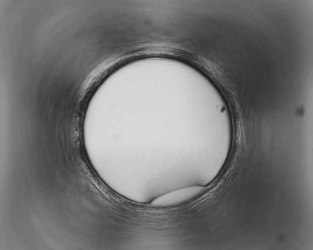 X0000115711164200912031522