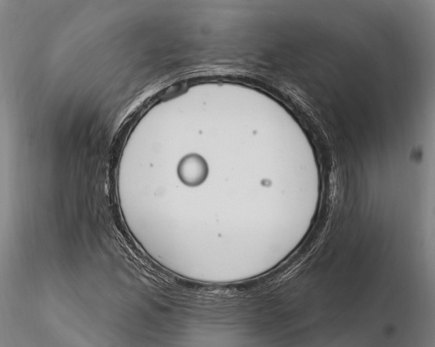 X0000115711165200912031522