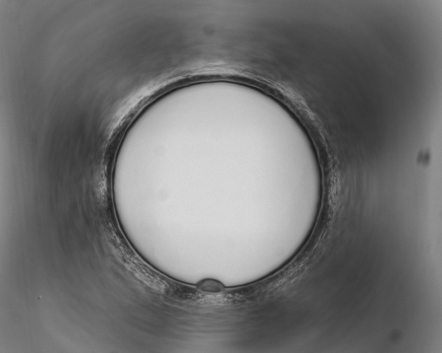 X0000115711167200912031522