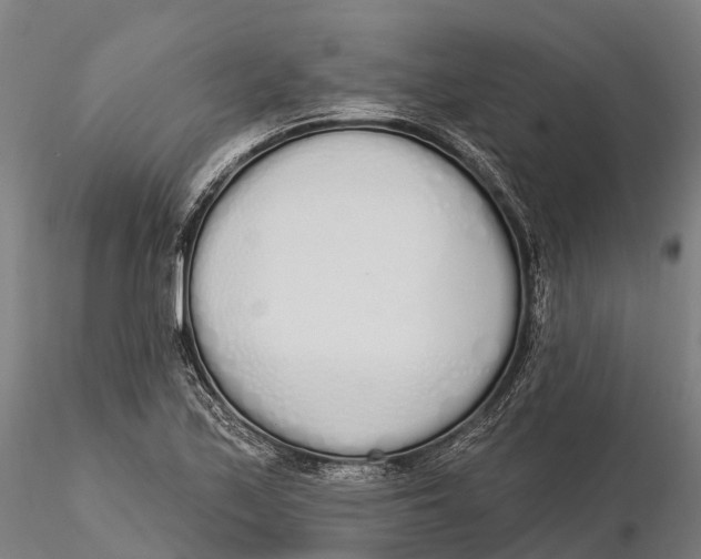 X0000115711171200912031521