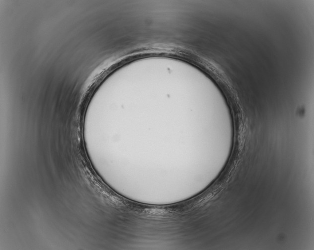 X0000115711172200912031521