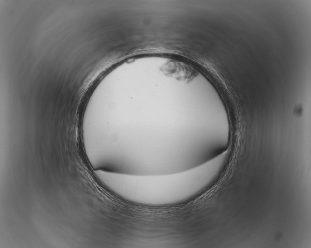 X0000115711173200912031521