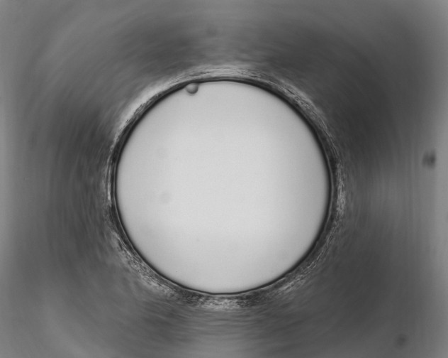 X0000115711174200912031521