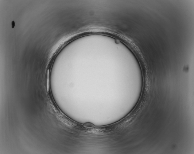 X0000115711175200912031521