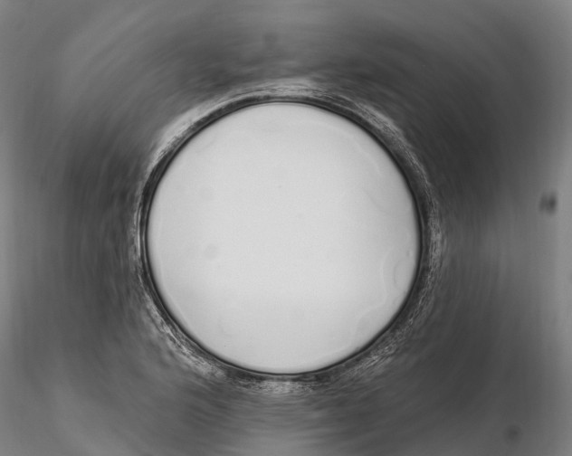 X0000115711176200912031521