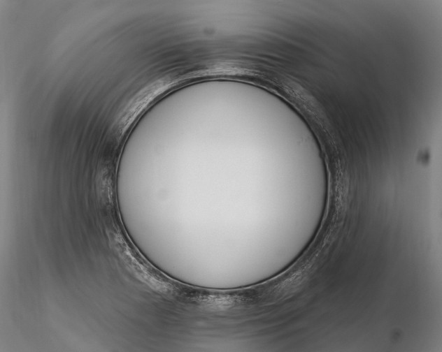 X0000115711177200912031521