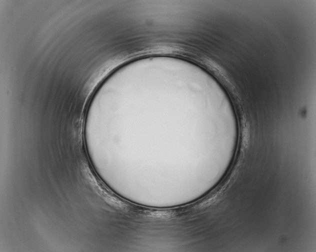 X0000115711178200912031521