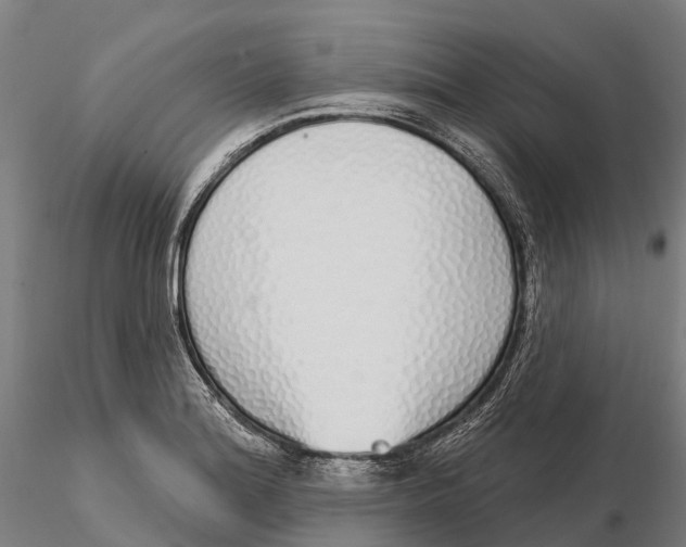 X0000115711180200912031521