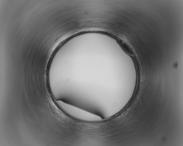 X0000115711181200912031521