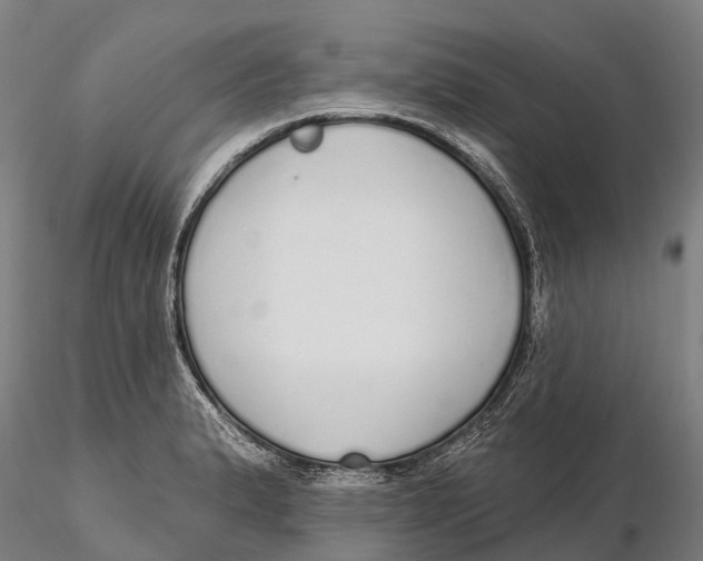 X0000115711183200912031521