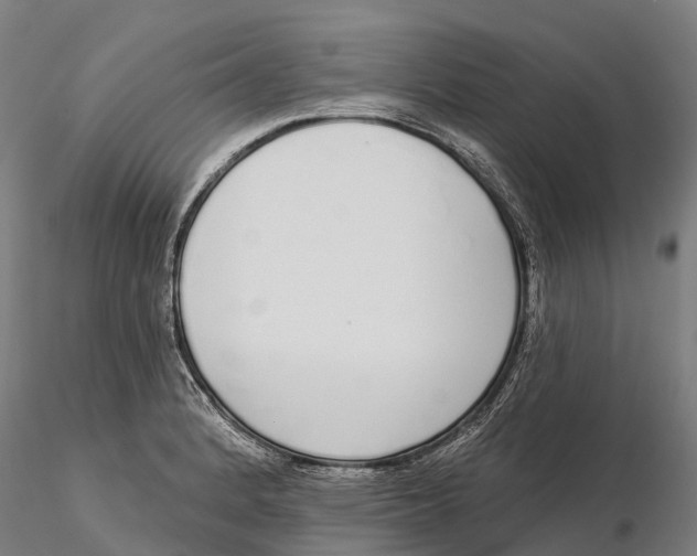 X0000115711184200912031521