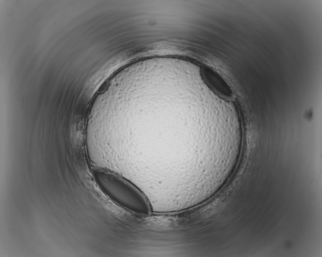 X0000115711185200912031521