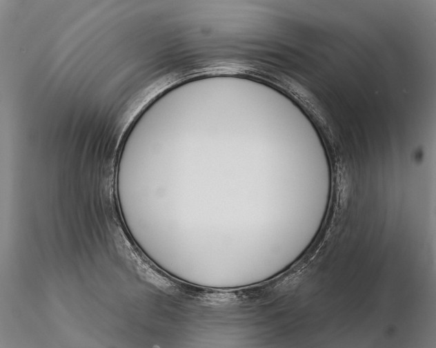 X0000115711186200912031521