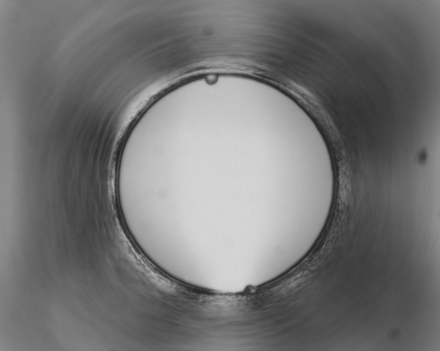 X0000115711188200912031521