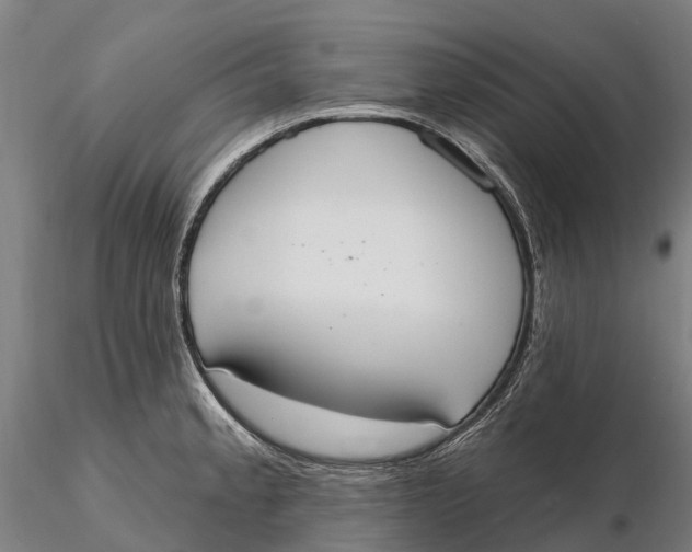 X0000115711189200912031521