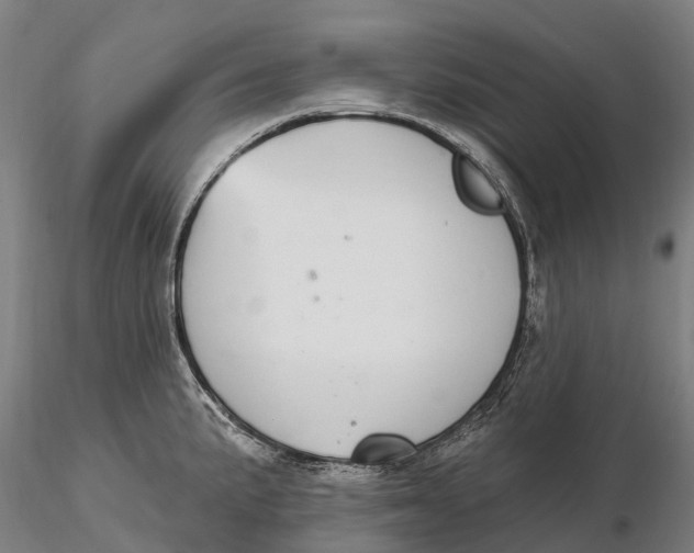 X0000115711191200912031521