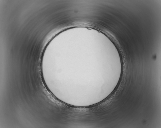 X0000115711192200912031521