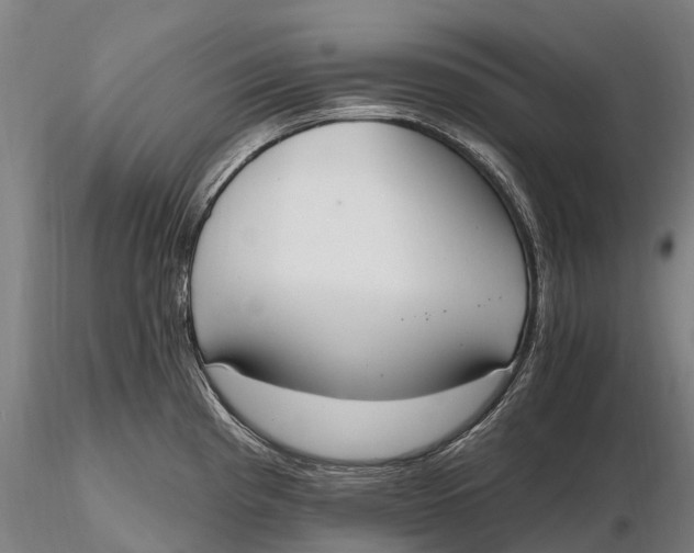 X0000115711193200912031521