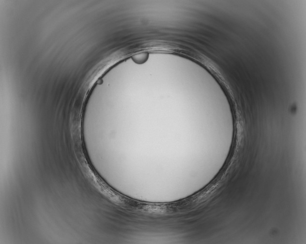 X0000115711194200912031521