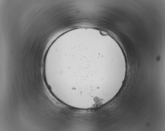 X0000115711195200912031521