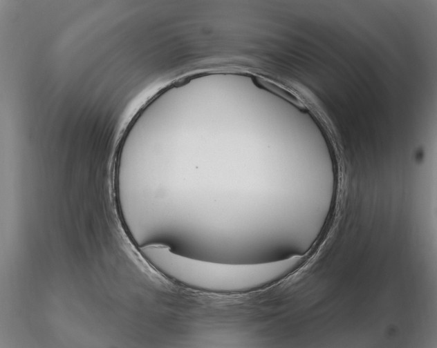 X0000115711196200912031521