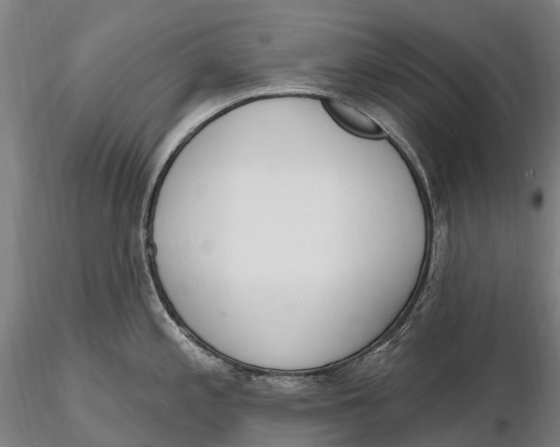 X0000115711197200912031521