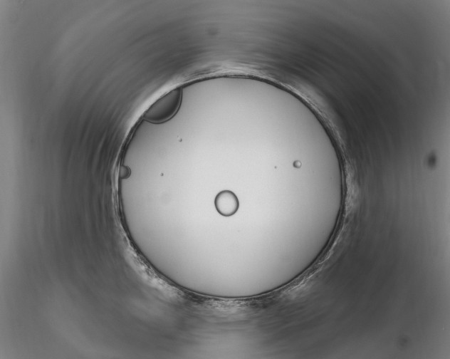 X0000115711198200912031521