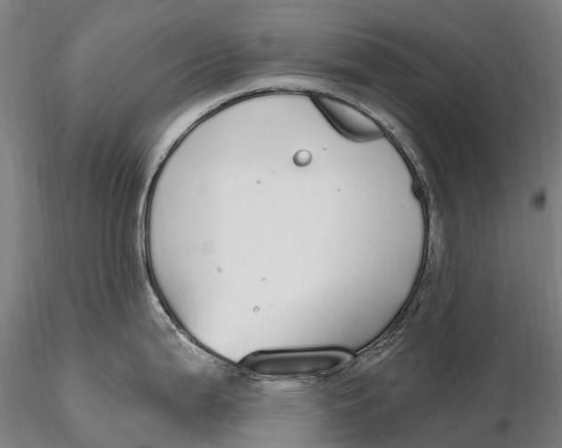 X0000115711199200912031521