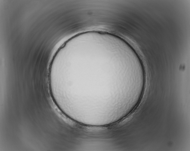 X0000115711200200912031521