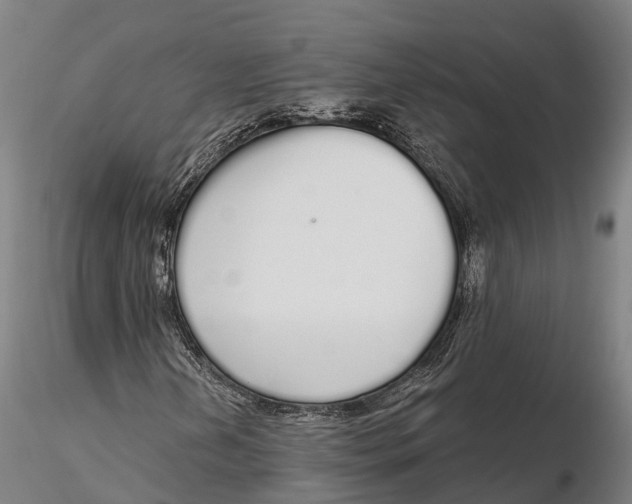 X0000115711202200912031520