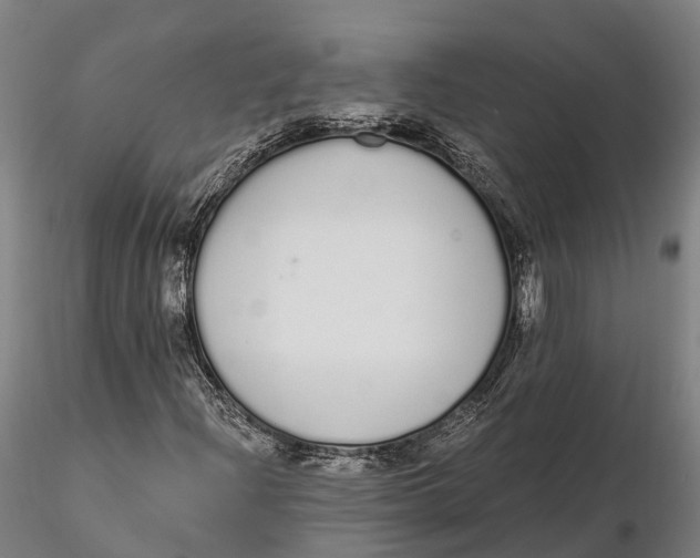 X0000115711204200912031520