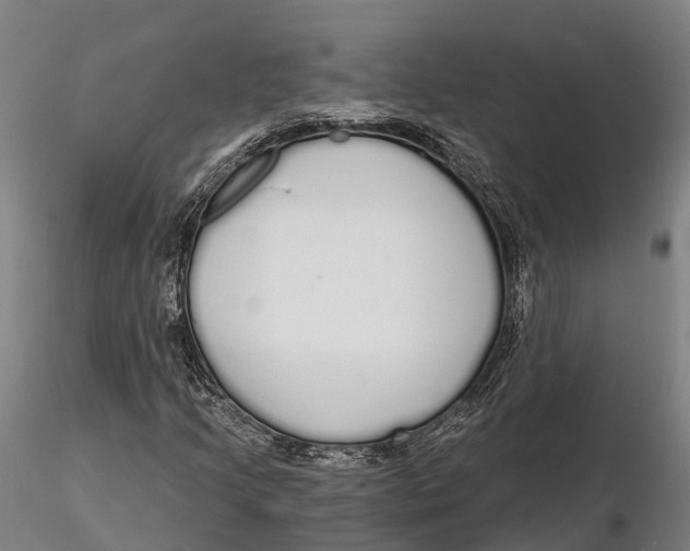 X0000115711205200912031520